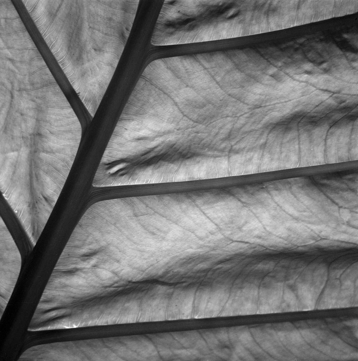 Stacks Image 535