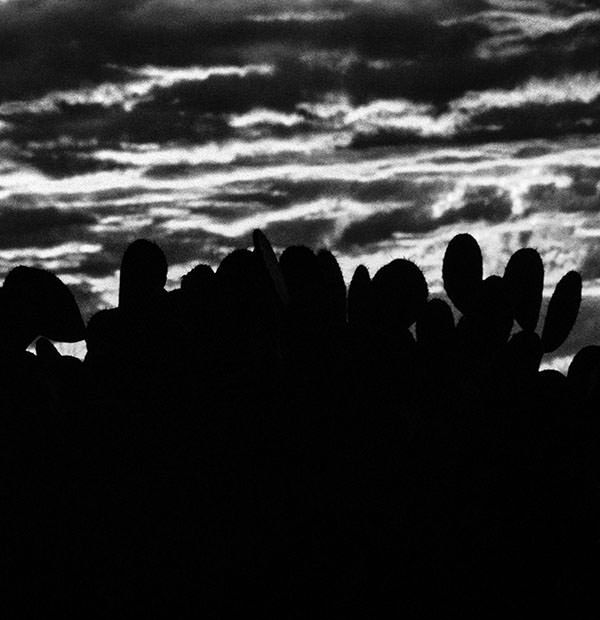 Stacks Image 124